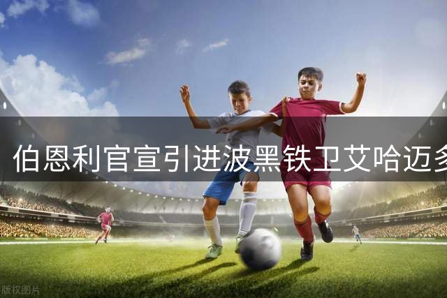伯恩利官宣引进波黑铁卫艾哈迈多霍季奇